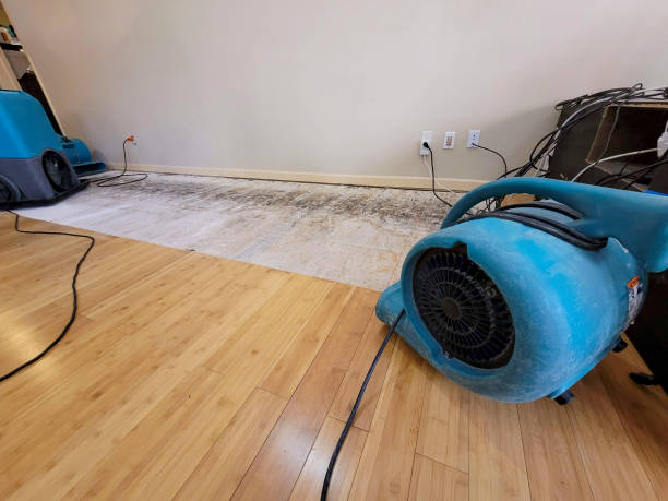 Professional Flood Damage Cleanup technician working in Eva, AL
